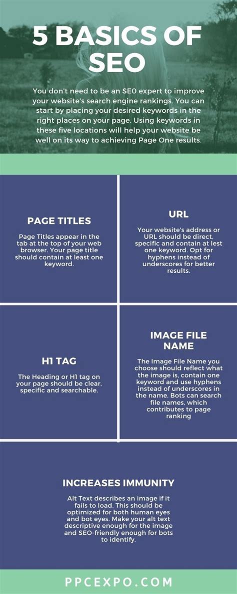 SEO Basics Explained