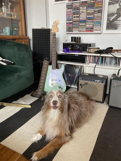 First Mod ever successful! : r/TomDelongeGuitars