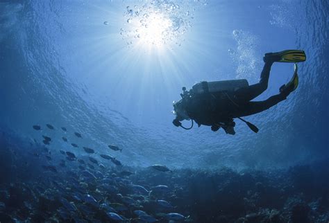 Royal Caribbean Becomes The Only Cruise Line To Offer Padi Dive ...
