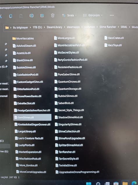 I installed mods in my game, but I encountered some problems, I couldn ...