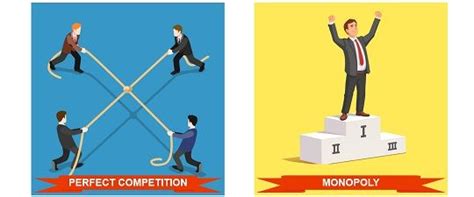 Difference Between Monopoly and Perfect Competition - Key Differences