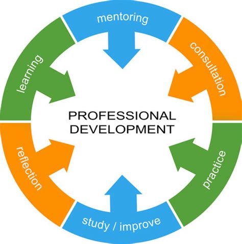 Competency 5: Relevant Continuous Professional Improvement Diagram ...