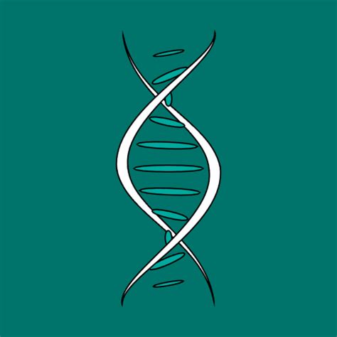 What are the best troubleshooting steps for common mod conflicts in PC games?