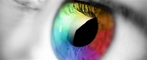 El visual marketing - Premium Servicios