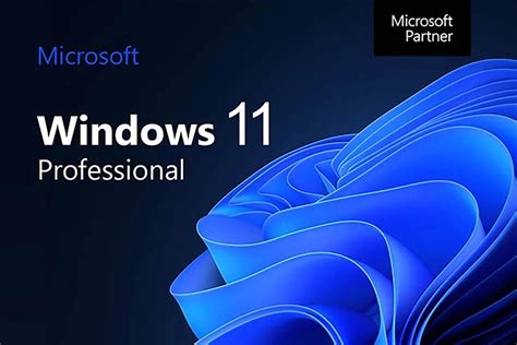 Windows 11 家庭版与专业版有何不同? ️