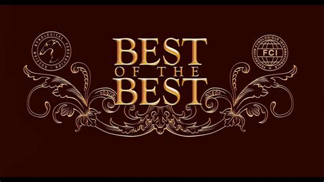 Best SEO practices for Indie Spotlight to maximize game discoverability?