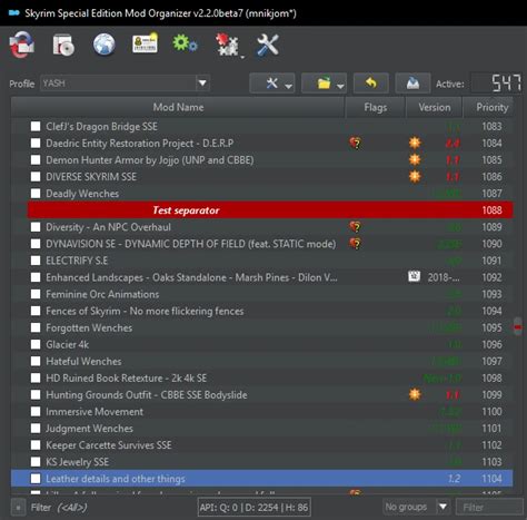 Mod Organizer 2 - Basics at Skyrim Special Edition Nexus - Mods and ...