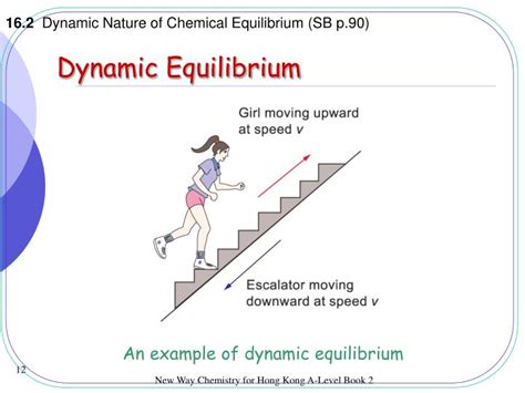 PPT - Dynamic Equilibrium PowerPoint Presentation - ID:5084939