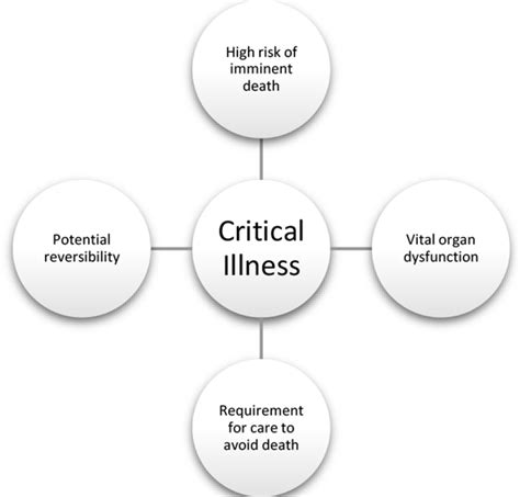 Towards definitions of critical illness and critical care using concept ...