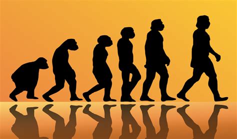 Scientists Speak Out Against Evolution(Who AM I, Part 7) – Mountain ...