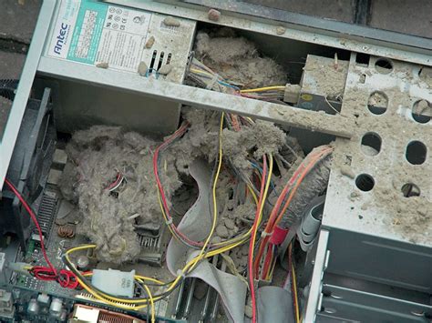 How to clean your PC of dust and dirt | TechRadar