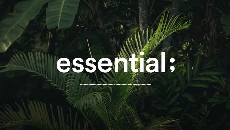 essential;은 누가 운영할까?