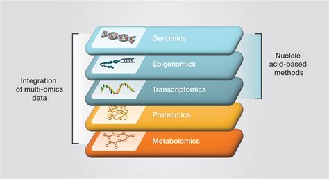 Supporting Multi-omics Approaches | Thermo Fisher Scientific - BR