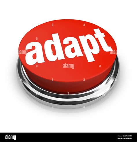 How to adapt your favorite build to the latest meta shifts without losing its core identity?