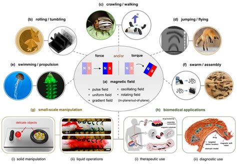 Illustration of the review structure. | Download Scientific Diagram