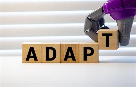 How to adapt DPS builds to counter the latest tank meta in competitive play?