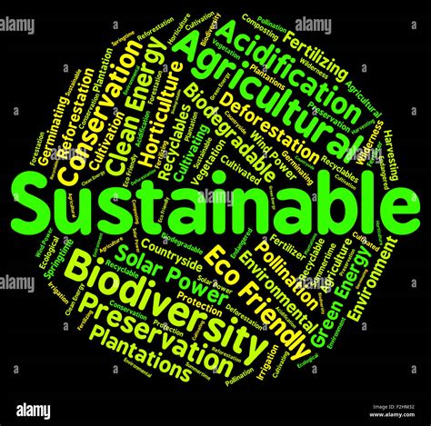 Sustain Definition