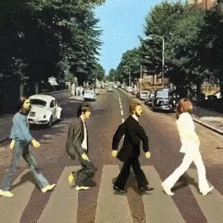 Brazilian PF grow. Pre-harvest pics! - Mushroom Cultivation - Shroomery ...