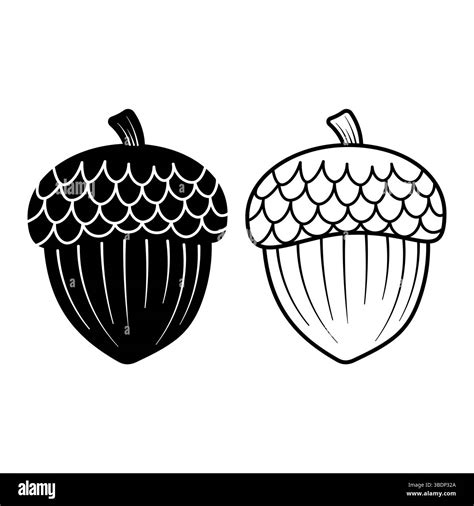 Detailed nut texture Stock Vector Images - Alamy