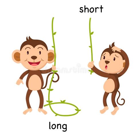 Opposite Long and Short Illustration Stock Vector - Illustration of ...