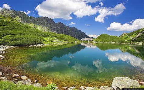 Clear Wallpaper