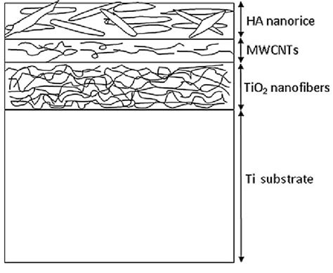 Schematic of the prepared layered structure | Download Scientific Diagram