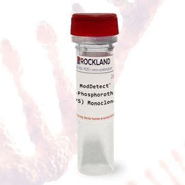 ModDetect™: Detect PS Modifications Independent of Sequence or Location ...