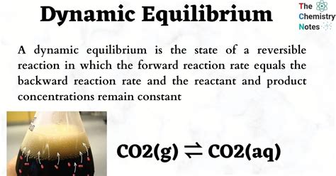 Dynamic equilibrium: Definition, Important Examples