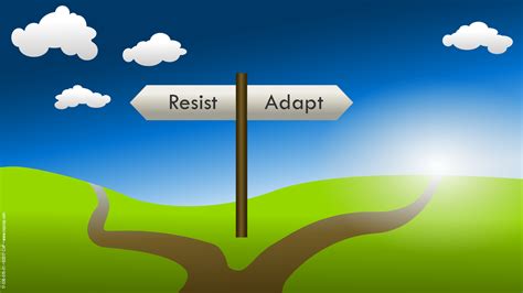 How to adapt your DPS build when the meta shifts post-patch?