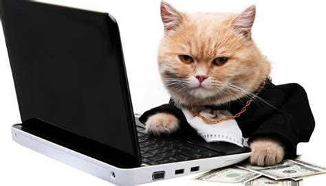 Community Moderating Tips You Should Know