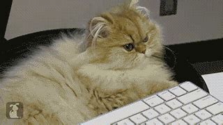 NEW YORK CITY: Theatre Queens | Benjamin Phillips