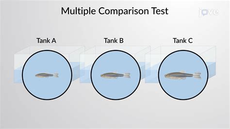 Video: Multiple Comparison Tests