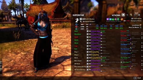 What is the highest dps Pve tank build you have ever managed to make ...