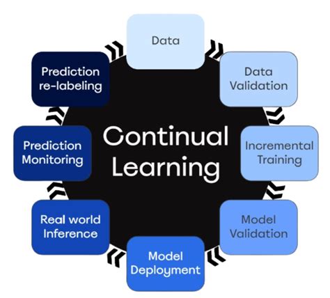 Continual Learning - DYDAS