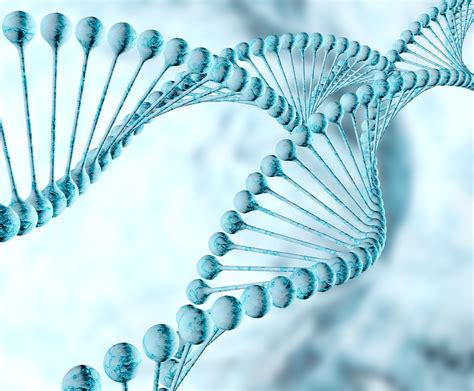 INFARMA - The Employers’ Union of Innovative Pharmaceutical Companies ...