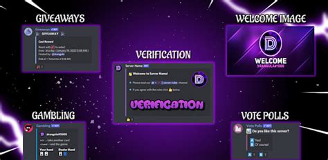 Set up a community, gaming or streaming discord server by Dzudes | Fiverr