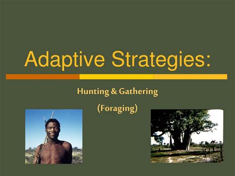 PPT - Adaptive Strategies: PowerPoint Presentation, free download - ID ...