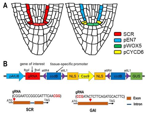 What specific game design elements make an indie game shine for Spotlight?