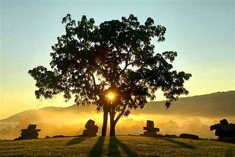 The Different Styles of Orange Wine | Wine Enthusiast