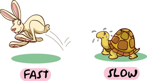 Opposite words for fast and slow cartoon vector 24644136 Vector Art at ...