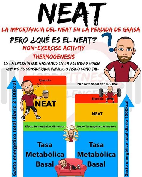 NEAT . La importancia del NEAT . Pero primero de todo sabes lo que es ...