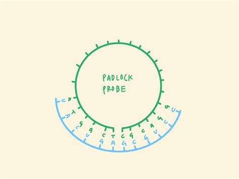 Team:TAS Taipei/Experiments - 2020.igem.org