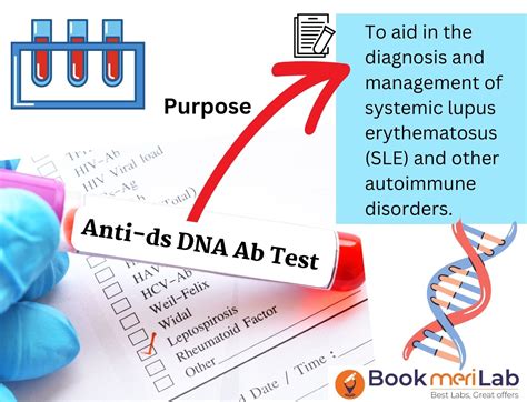 Anti dsDNA Test: Get Price, Purpose, Results &amp; Sample Report [2025]