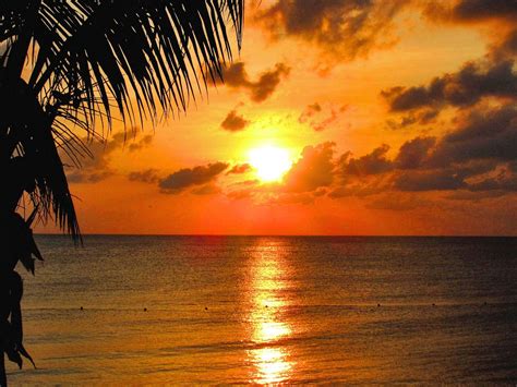 Unique Wallpaper