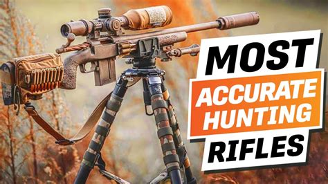 What Is The Most Commonly Used Rifle For Hunting at Charlene Ortega blog