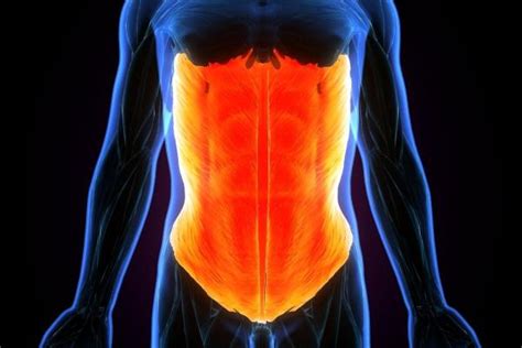 Qué es el core y por qué es importante fortalecerlo - Todas las claves ...