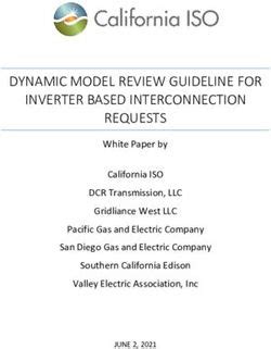 DYNAMIC MODEL REVIEW GUIDELINE FOR INVERTER BASED INTERCONNECTION REQUESTS