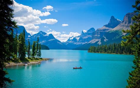 Clear Background Wallpaper