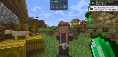 Your Reputation for Minecraft 1.21.4