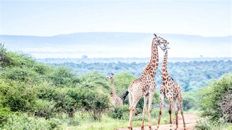 How to get immediate, verified gaming news updates on your favorite titles?